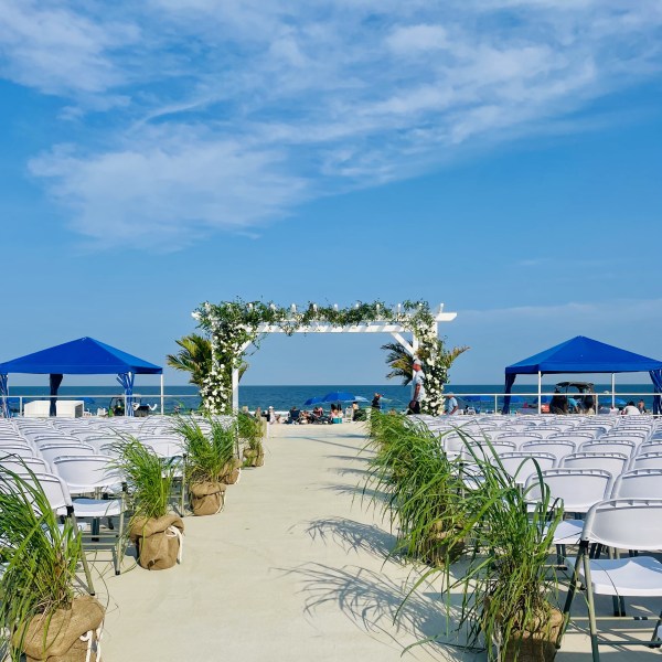 a beach with palm trees and blue sky
