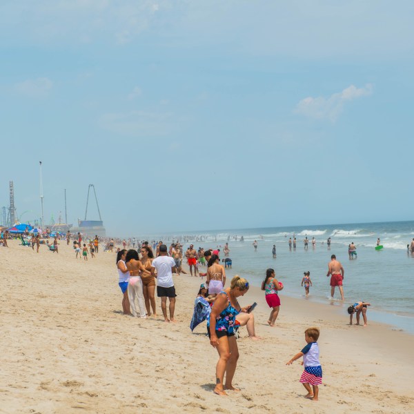 a group of people on a beach