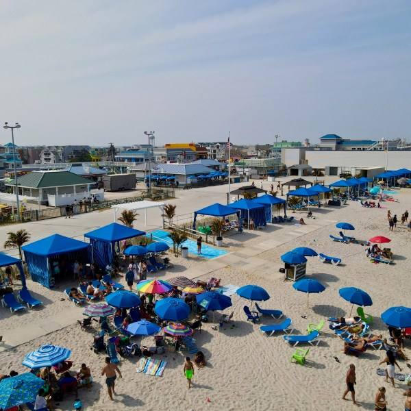 a crowd of people at a beach